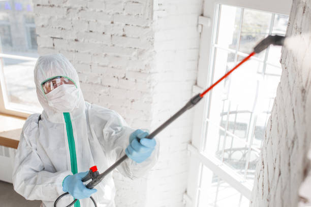 Mold Documentation for Insurance Claims in Milledgeville, GA