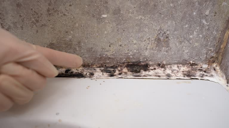 Mold Remediation for Vacation Homes in Milledgeville, GA